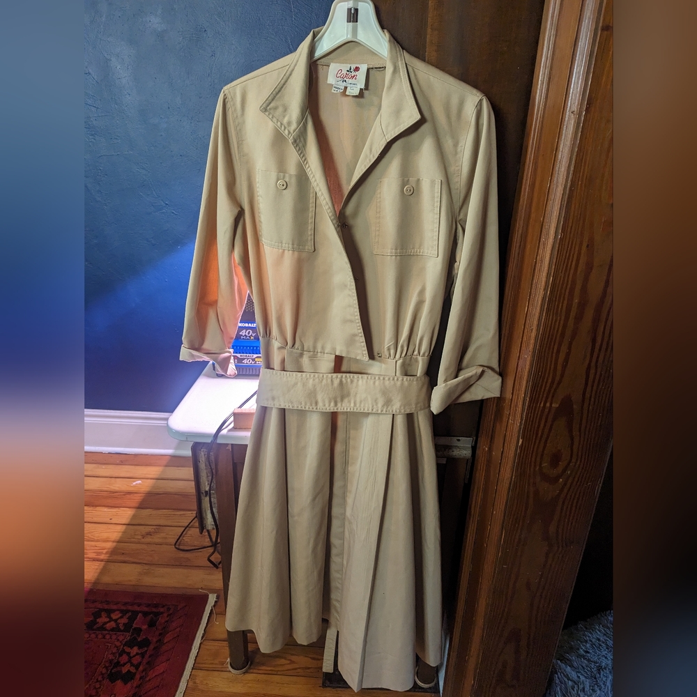 VINTAGE Caron Chicago Long Sleeve Collared Swing Dress